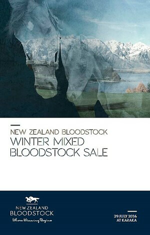 WinterMixedBloodstock Sale-300